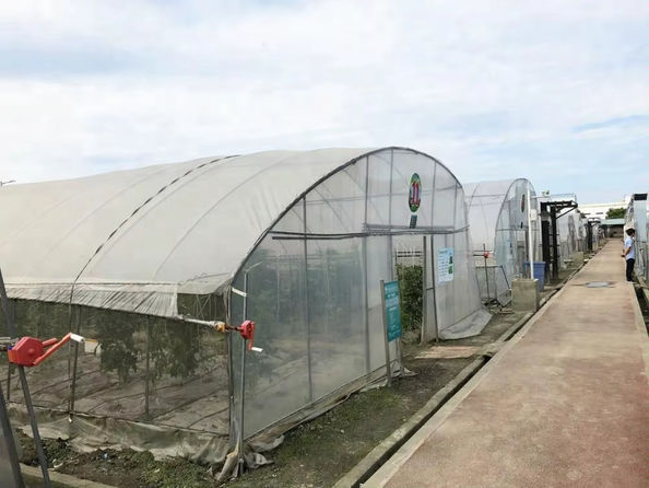 แมท ชาร์ลตัน