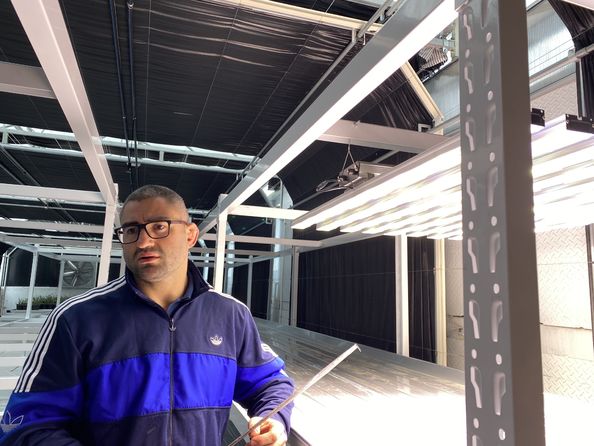 โบรเดอริค วานาเนม