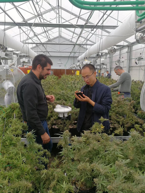 ซิลเวสเตอร์ ไนเคน