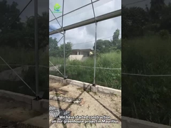 โครงการเรือนกระจกที่ยั่งยืนในมอริเชียส