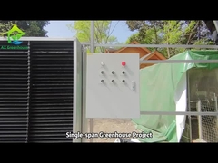 โครงการ AX Greenhouse Single-span Greenhouse