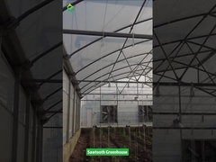 โปรแกรม Sawtooth โตรปิค พลาสติก ฟิล์มเรือนกระจก