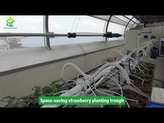 รางปลูกสตรอว์เบอร์รี