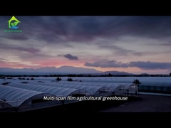 โรงเรือนเกษตรกรรมฟิล์มหลายช่วงขนาดใหญ่