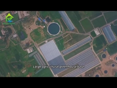 พื้นฐานการปลูกโรงเรือนกระจกการเกษตรขนาดใหญ่