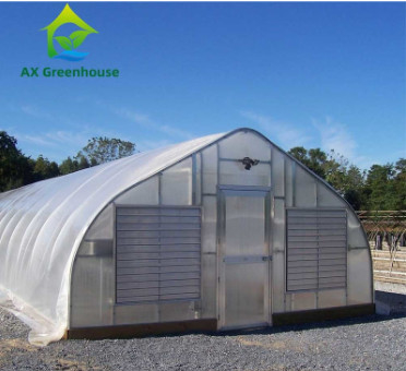 พืชปลูก โปลิคาร์บอเนต PC Single Span Sheet Greenhouse ด้วยโครงสร้างที่มั่นคงและการประกอบง่าย