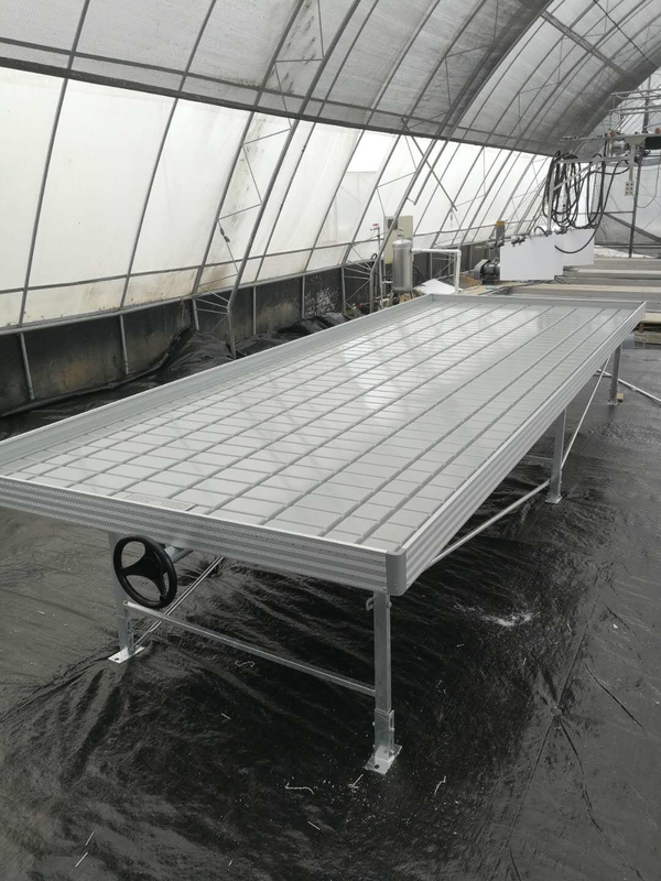 โรงงานเรือนกระจก Ebb Flow Seedling Rolling Bench โต๊ะปลูกสําหรับปลูกพืชประเภทต่างๆ