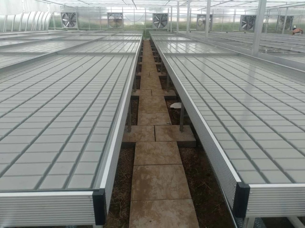 Grow Table Flood Tray Rolling Ebb และ Flow Bench สำหรับต้นกล้าเรือนกระจก
