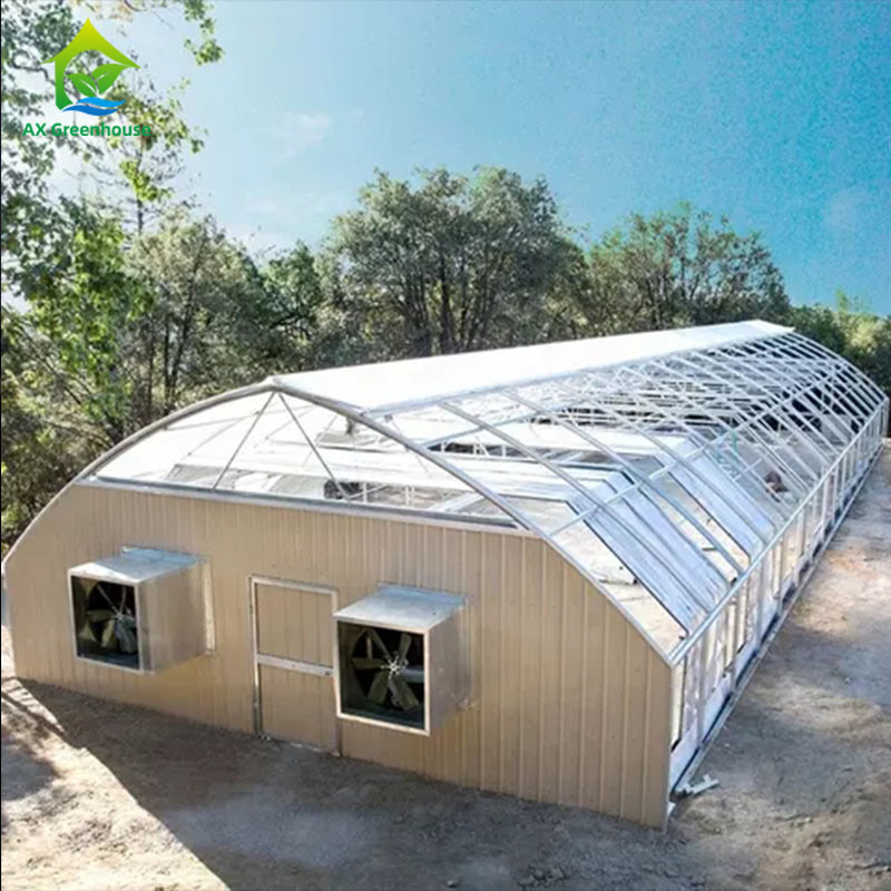 PE Film 220V Auto Light Deprivation Greenhouse 100% Blackout High Tunnel Greenhouse สำหรับปลูกกัญชา