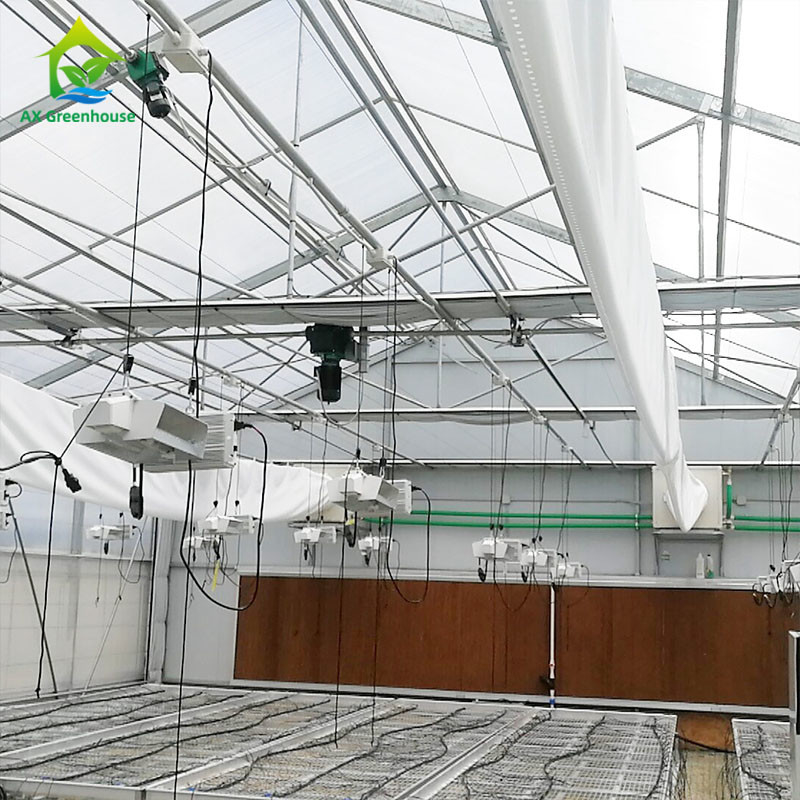 PE Film 220V Auto Light Deprivation Greenhouse 100% Blackout High Tunnel Greenhouse สำหรับปลูกกัญชา