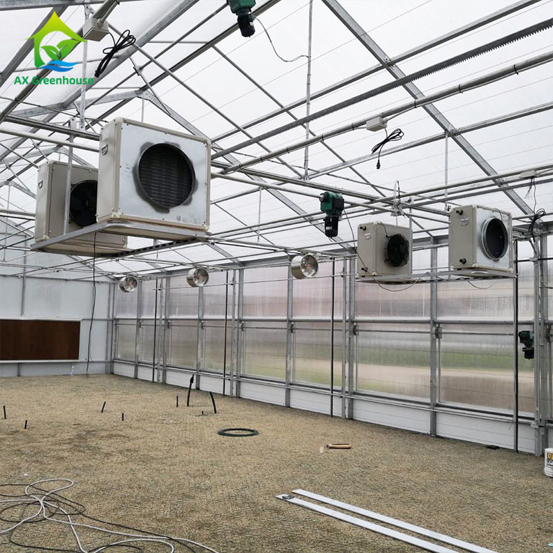 PE Film 220V Auto Light Deprivation Greenhouse 100% Blackout High Tunnel Greenhouse สำหรับปลูกกัญชา