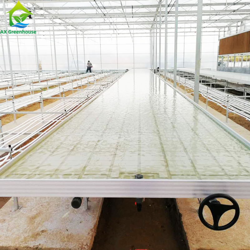 Ebb Flow Hydroponic Mobile Hydroponic Soilless Culture โต๊ะปลูกปลูก โต๊ะลอยสําหรับการปลูกพืช