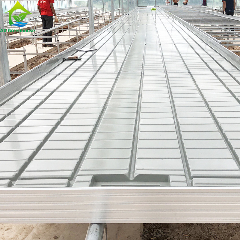 โรงงานเรือนกระจก Ebb Flow Seedling Rolling Bench โต๊ะปลูกสําหรับปลูกพืชประเภทต่างๆ