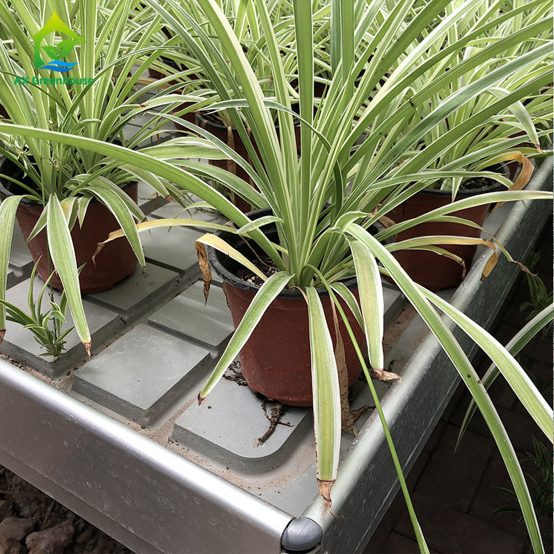 Ebb Flow Hydroponic Mobile Hydroponic Soilless Culture โต๊ะปลูกปลูก โต๊ะลอยสําหรับการปลูกพืช