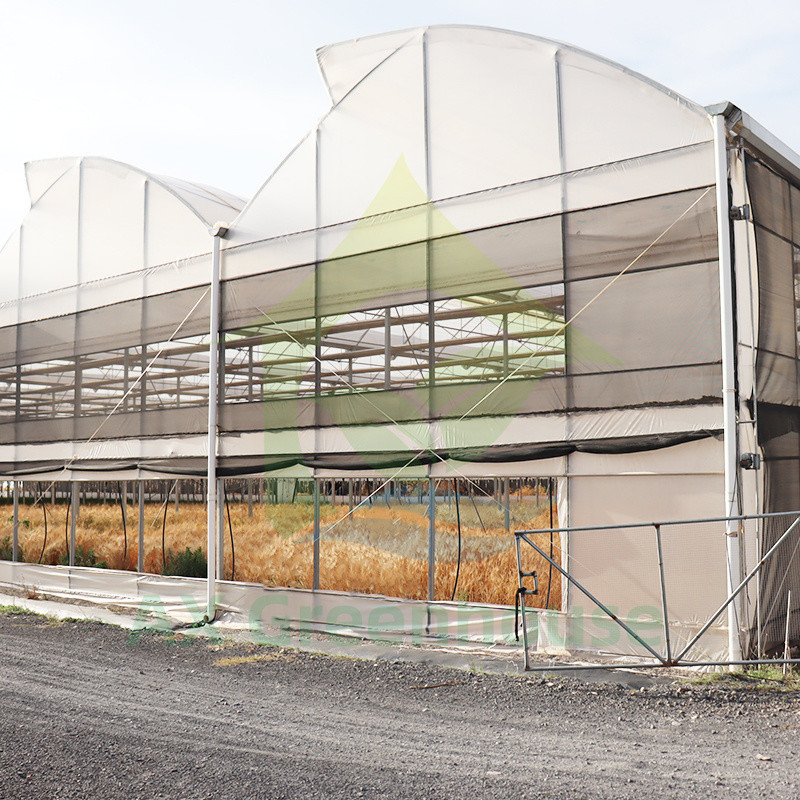 โครงสร้างเหล็ก ยูวีทนทานฟิล์ม Poly Tunnel Multi-span ผักเรือนกระจกสําหรับทอด