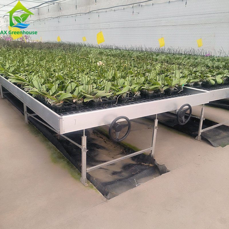 Ebb และน้ําท่วม Hydroponic โต๊ะเคลื่อนย้าย Rolling Bench สําหรับการเติบโตของพืชในเรือนกระจก