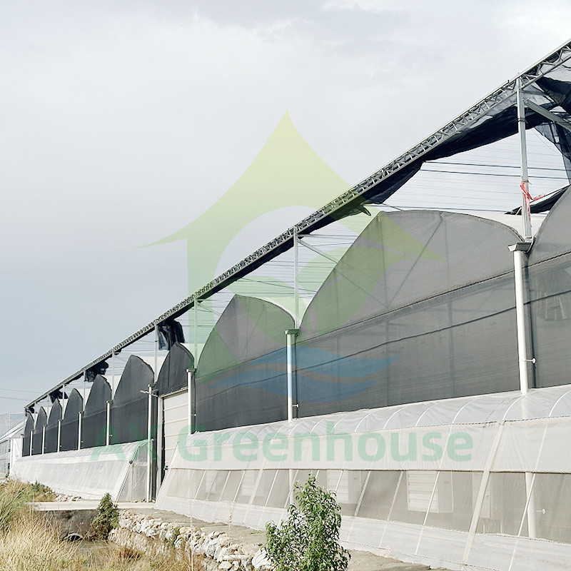 พลาสติก PE Film Multi Span Tomato Poly Tunnel Greenhouse สําหรับผลไม้ ผักผัก พร้อมเครือเงา