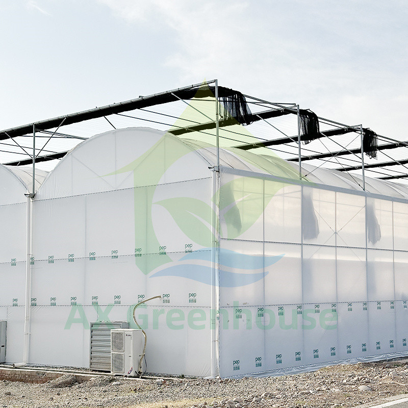 พลาสติก PE Film Multi Span Tomato Poly Tunnel Greenhouse สําหรับผลไม้ ผักผัก พร้อมเครือเงา