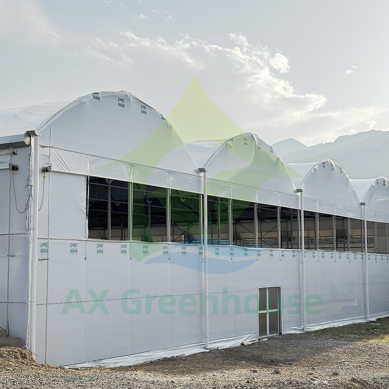 พลาสติก PE Film Multi Span Tomato Poly Tunnel Greenhouse สําหรับผลไม้ ผักผัก พร้อมเครือเงา