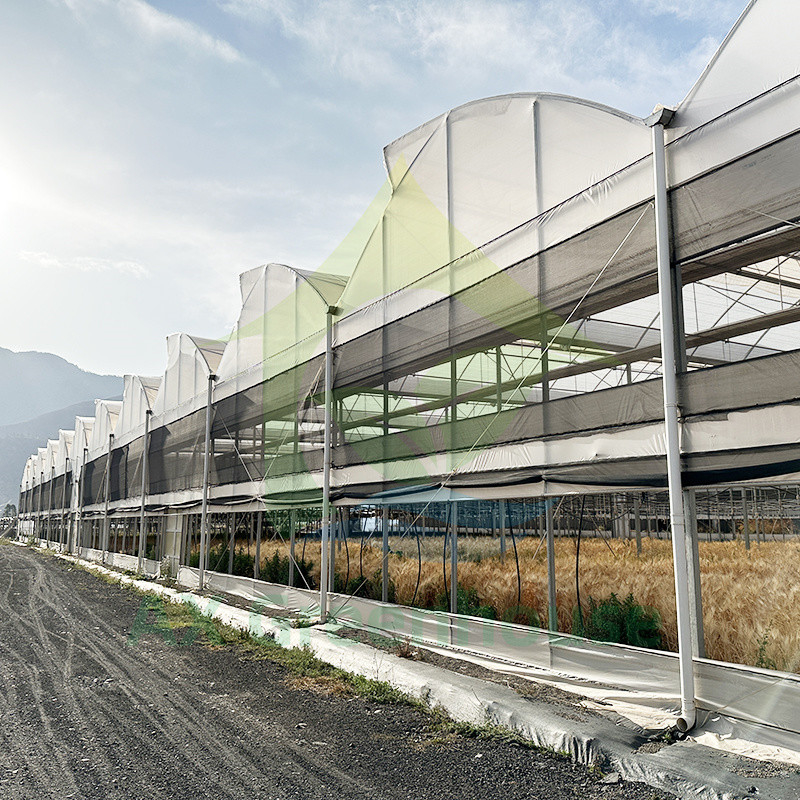 พลาสติก PE Film Multi Span Tomato Poly Tunnel Greenhouse สําหรับผลไม้ ผักผัก พร้อมเครือเงา