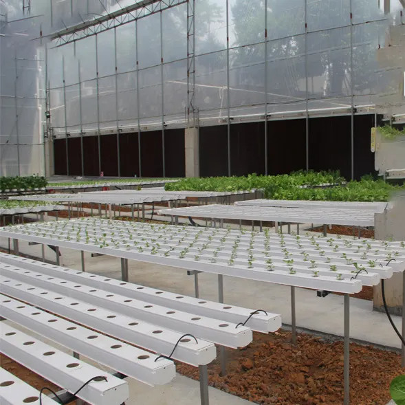 การเกษตรภายในที่ไร้ดิน การปลูกสตรอเบอรี่ PVC Tube สําหรับ Hydroponics ระบบ NFT สําหรับขาย