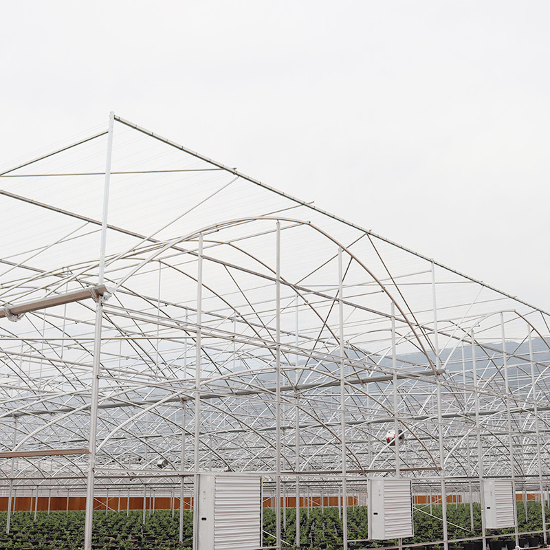 โครงสร้างสแตนเลสกระปุกร้อน Multi-Span พลาสติกฟิล์มเรือนเรือนกระจกที่กําหนดเองที่มีการระบายอากาศบนอุณหภูมิ