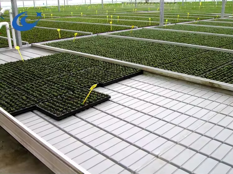 โรงเรือนกระจก โต๊ะปลูกสําหรับพืชทอด การปลูกพืช Ebb And Flow System