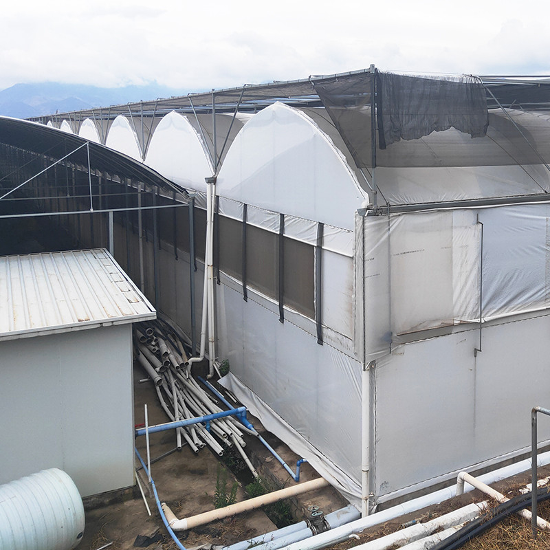 สายไฟเหล็กกระปุกร้อน โรงพืชพืชพืชพืชพืชพืชพืชพืชพืชพืชพืชพืชพืชพืชพืชพืชพืช