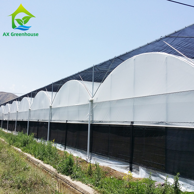 สายไฟเหล็กกระปุกร้อน โรงพืชพืชพืชพืชพืชพืชพืชพืชพืชพืชพืชพืชพืชพืชพืชพืชพืช