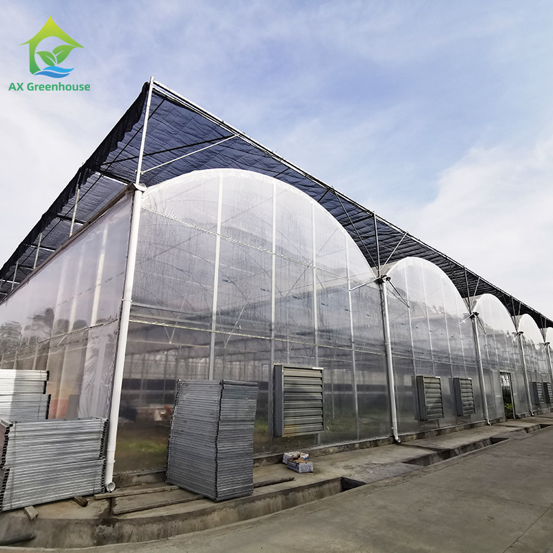 โรงเรือนกระจกพลาสติก 30x10m กัน UV สําหรับทอมาโตและผัก