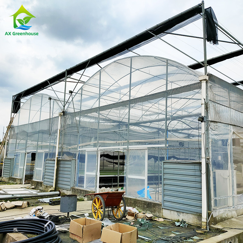 โรงเรือนกระจกพลาสติก 30x10m กัน UV สําหรับทอมาโตและผัก