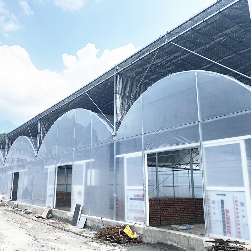 โรงเรือนกระจกการเกษตรสําหรับผลไม้