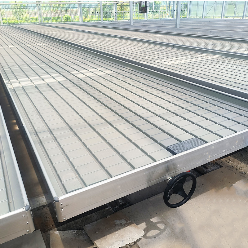 โรงเรือนกระจกในบ้าน Hydroponic Ebb And Flood Rolling Benches พัฒนาเมล็ดพันธุ์ โต๊ะสําหรับการปลูก
