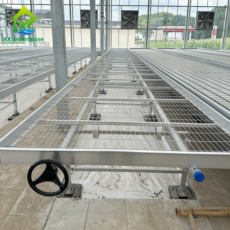 โรงเรือนกระจกในบ้าน Hydroponic Ebb And Flood Rolling Benches พัฒนาเมล็ดพันธุ์ โต๊ะสําหรับการปลูก