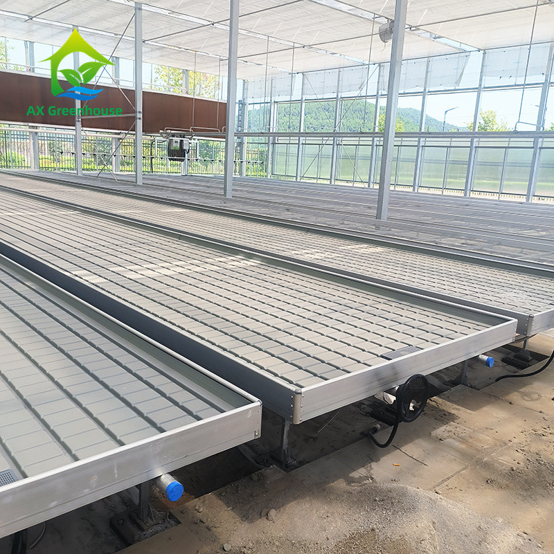 โรงเรือนกระจก โต๊ะปลูกสําหรับพืชทอด การปลูกพืช Ebb And Flow System