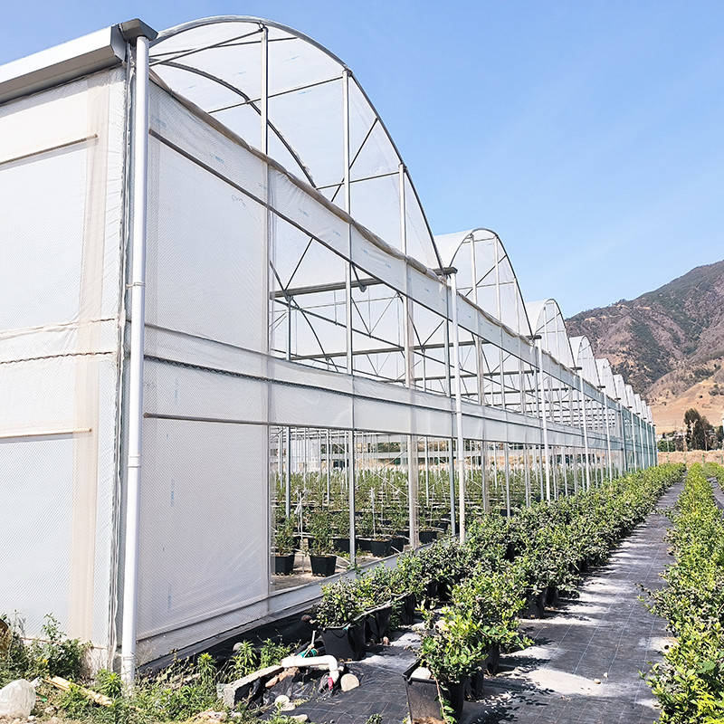 โรงเรือนกระจกพลาสติก 30x10m กัน UV สําหรับทอมาโตและผัก