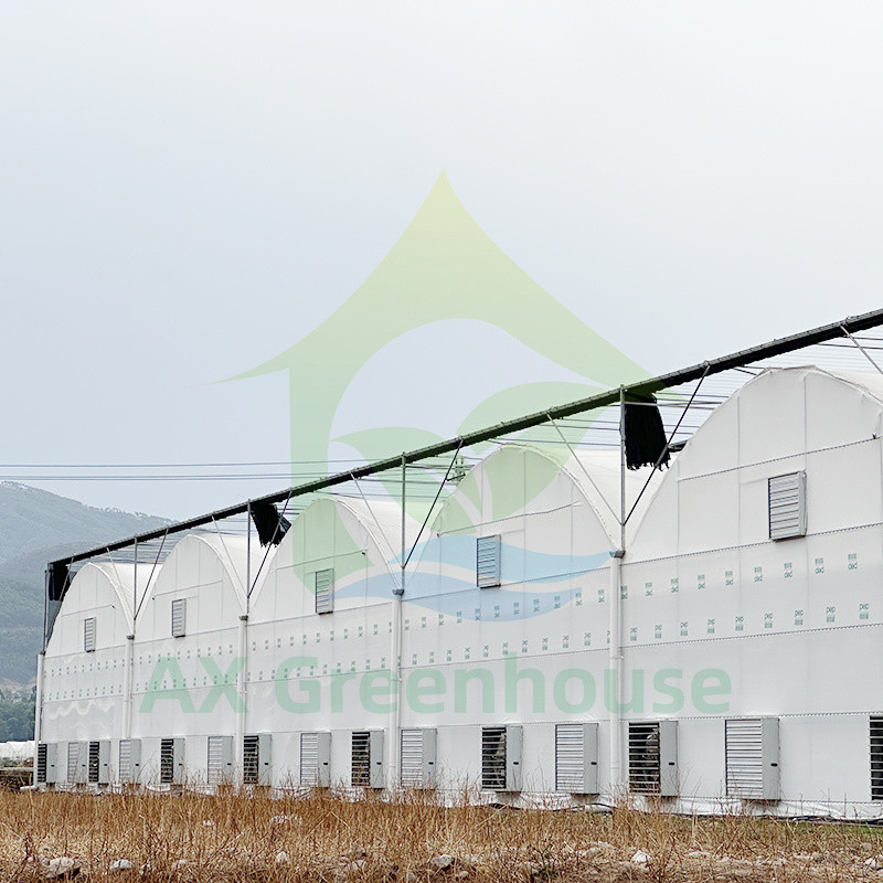 ขายร้อน โปรโมชั่น โพลีทุนเนล โพลีสเปน โฟมทน UV โรงเรือนกระจกสําหรับทอด