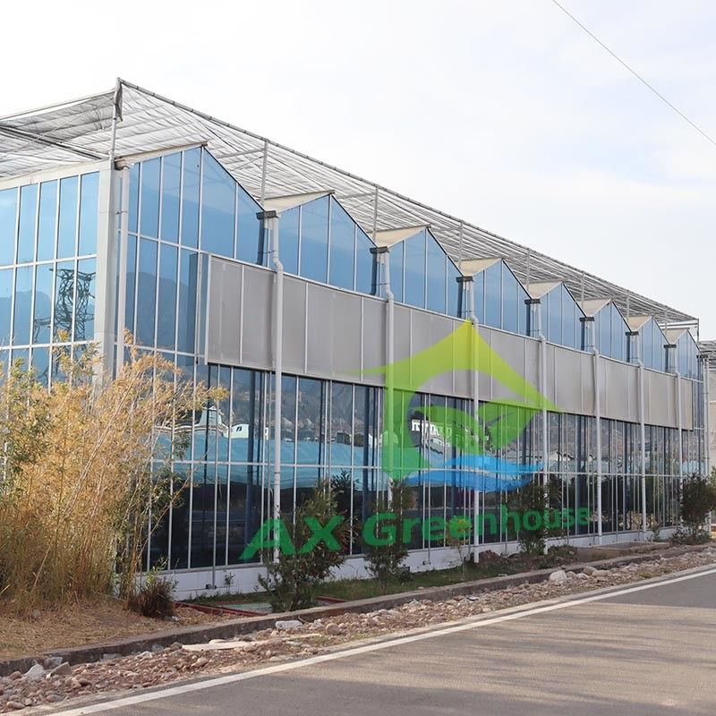 ประเภทเวนโล ประเภทกระจกการเกษตร กระจกกระจกกระจกกระจกกระจกกระจกกระจก