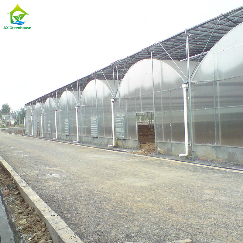 โครงสร้างเหล็ก ยูวีทนทานฟิล์ม Poly Tunnel Multi-span ผักเรือนกระจกสําหรับทอด