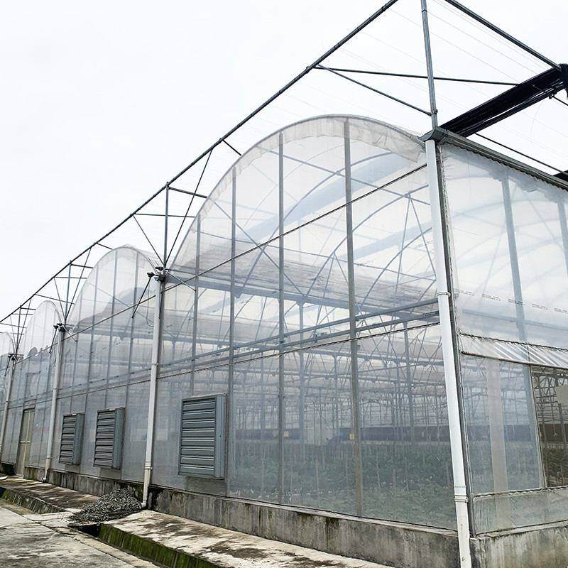 โครงสร้างเหล็ก ยูวีทนทานฟิล์ม Poly Tunnel Multi-span ผักเรือนกระจกสําหรับทอด