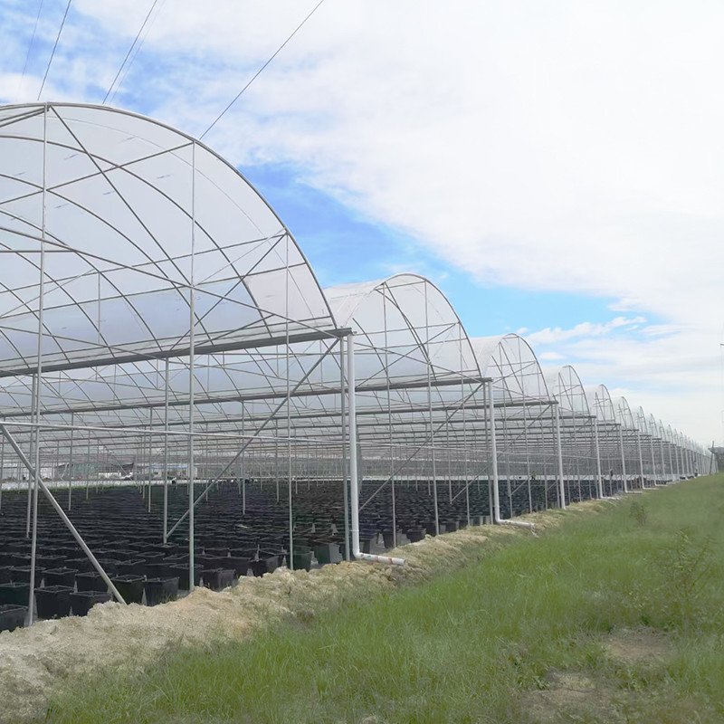 โรงเรือนกระจกพลาสติก 30x10m กัน UV สําหรับทอมาโตและผัก