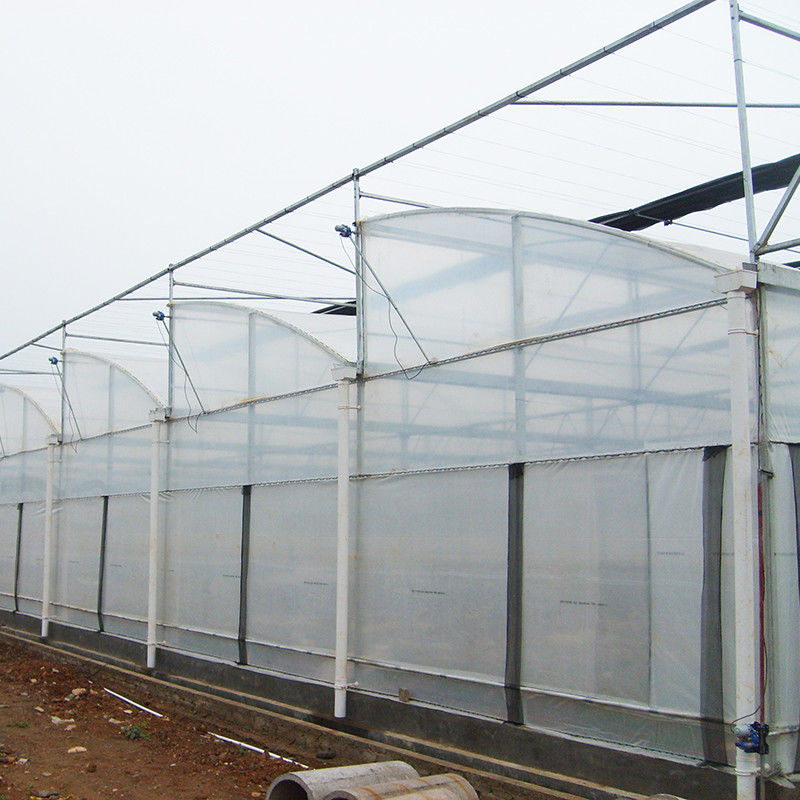 โครงสร้างเหล็ก ตําแหน่งเจาะฟิล์มโพลี โหล่งล่าง โรงเรือนกระจกหลายช่วงการเกษตร สําหรับการผลิตผักที่ยั่งยืน