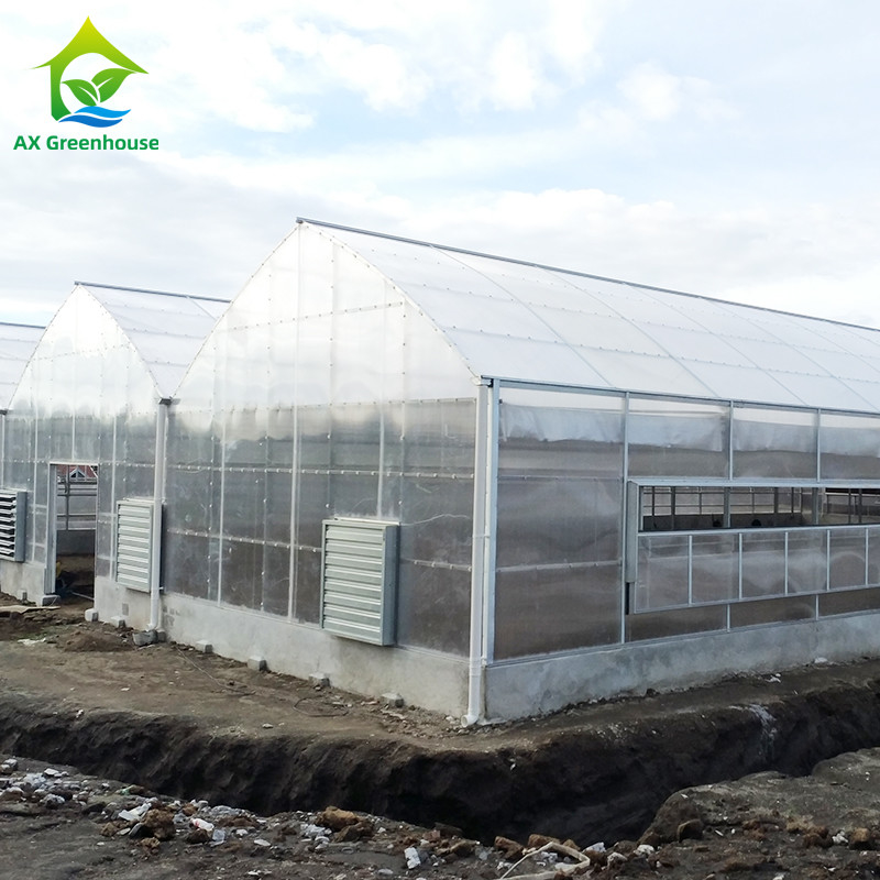 พืชปลูก โปลิคาร์บอเนต PC Single Span Sheet Greenhouse ด้วยโครงสร้างที่มั่นคงและการประกอบง่าย