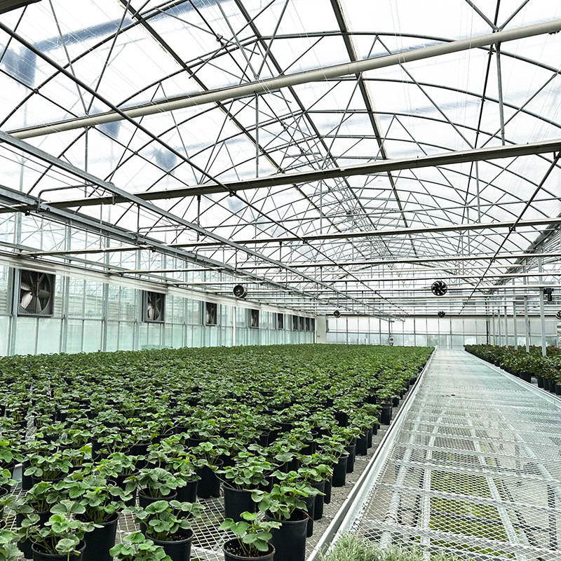 โครงสร้างเหล็ก ยูวีทนทานฟิล์ม Poly Tunnel Multi-span ผักเรือนกระจกสําหรับทอด