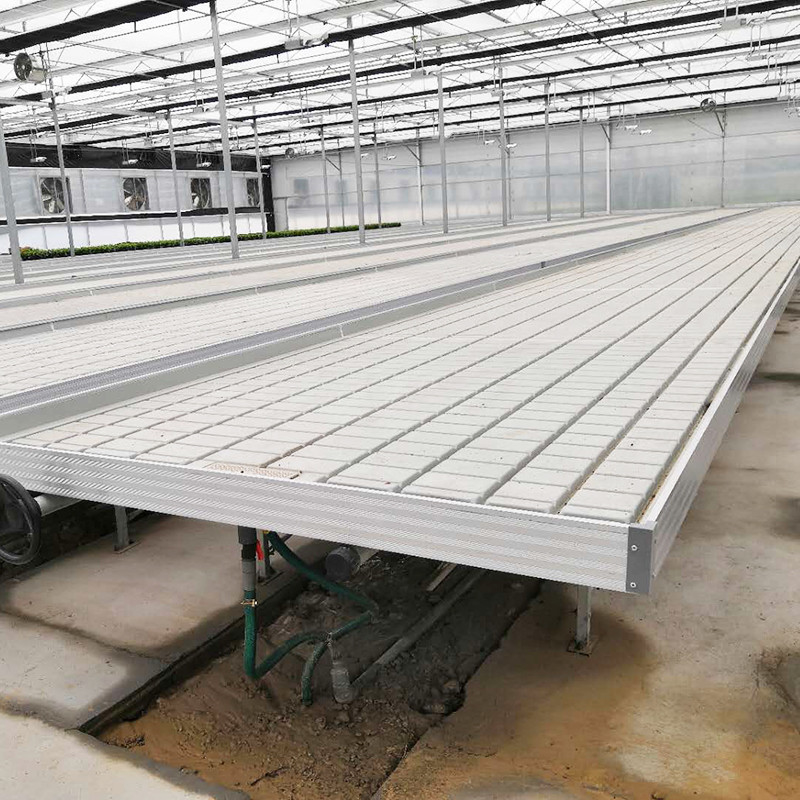 Ebb Flow Custom Double Layers Flood Grow Table Seedbed Rolling Bench ขับเคลื่อนและเหมาะสําหรับดอกไม้