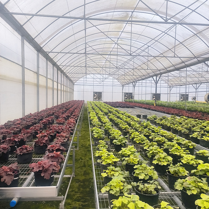 ขายร้อน โปรโมชั่น โพลีทุนเนล โพลีสเปน โฟมทน UV โรงเรือนกระจกสําหรับทอด