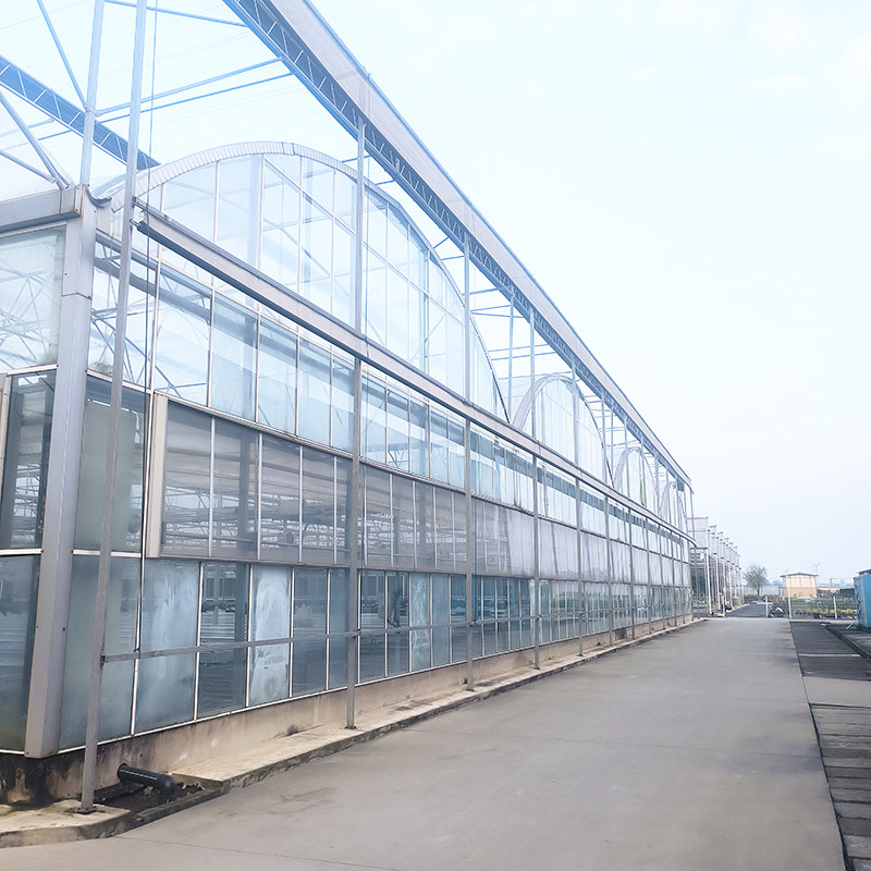 อุตสาหกรรมการเกษตร หรูหรา Venlo บ้านกระจกกระชับ รูปพืชเรือนกระจกที่มีโครงสร้างที่มั่นคงและระบบทําความร้อน