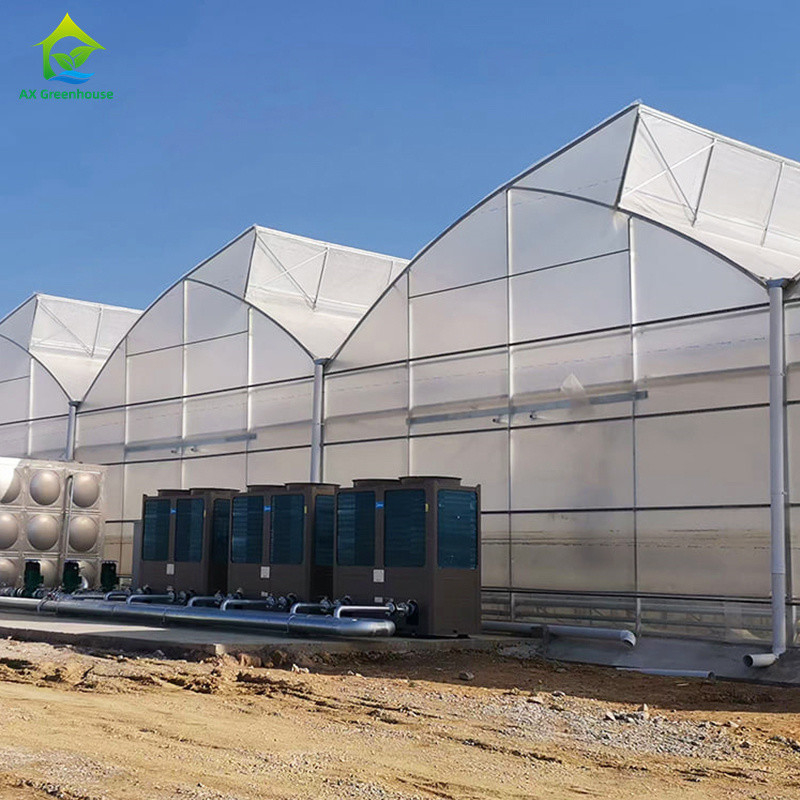 โรงเรือนกระจก Poly Multi-Span ด้วยหลังคาปูนสําหรับการระบายอากาศทางธรรมชาติและการกระจายแสง