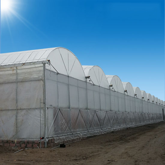 ขายร้อน โปรโมชั่น โพลีทุนเนล โพลีสเปน โฟมทน UV โรงเรือนกระจกสําหรับทอด