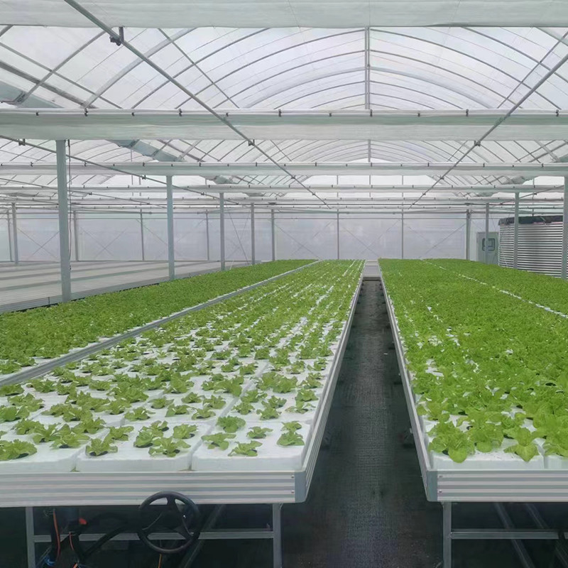 การปลูกสวนขนาดที่กําหนดเอง โต๊ะปลูกโรงเรือนกระจก Hydroponic Ebb Flood Rolling Bench